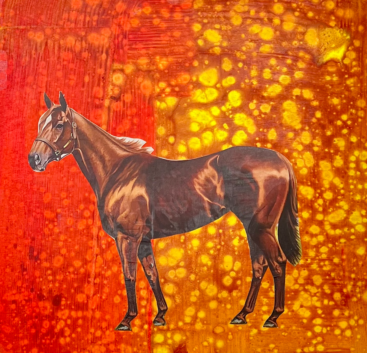 Horse